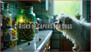 risks of capers for dogs