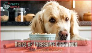 risks of excessive cinnamon