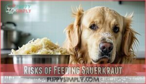 risks of feeding sauerkraut