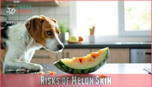 risks of melon skin
