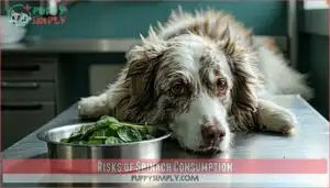 risks of spinach consumption