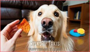 risks of takis