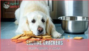 saltine crackers
