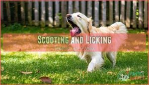 scooting and licking