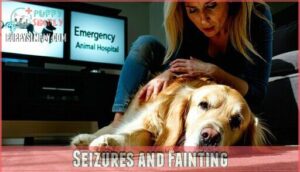seizures and fainting
