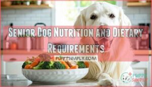 senior dog nutrition and dietary requirements