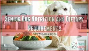 senior dog nutrition and dietary requirements