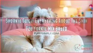 shorkie