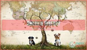 shorkie history