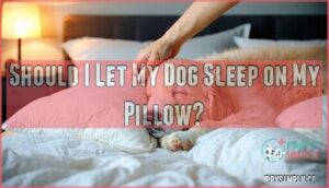 should i let my dog sleep on my pillow