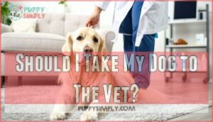 should i take my dog to the vet