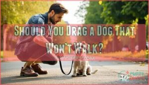 should you drag a dog that won’t walk
