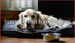 signs of end-stage hemangiosarcoma
