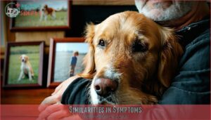 similarities in symptoms