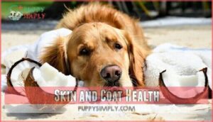 skin and coat health