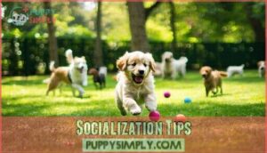 socialization tips
