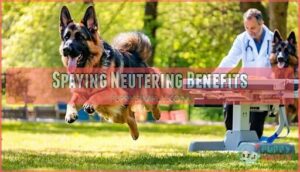 spaying neutering benefits