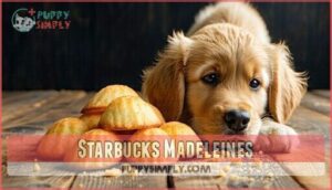 starbucks madeleines