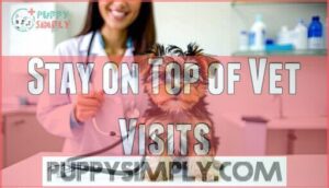 stay on top of vet visits