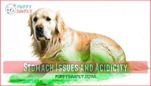 stomach issues and acidicity