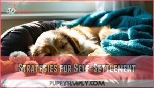 strategies for self-settlement
