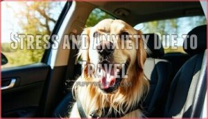 stress and anxiety due to travel