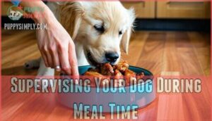supervising your dog during meal time