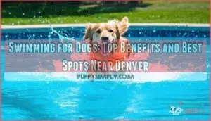 swimming for dogs