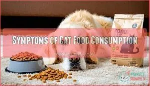 symptoms of cat food consumption
