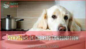 symptoms of chorizo consumption