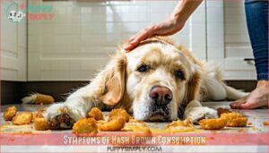 symptoms of hash brown consumption
