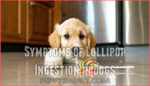 symptoms of lollipop ingestion in dogs