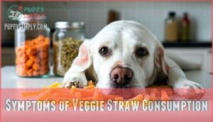 symptoms of veggie straw consumption