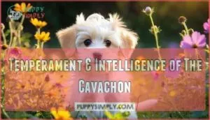 temperament & intelligence of the cavachon