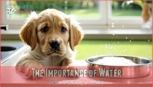 the importance of water