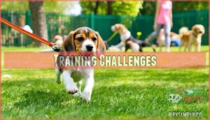 training challenges