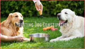 treating dog constipation