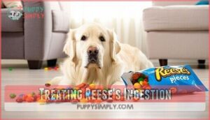 treating reese's ingestion
