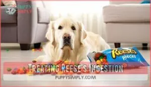 treating reese's ingestion