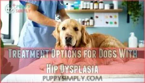 treatment options for dogs with hip dysplasia