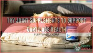 try joint supplements to support cartilage health