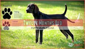 twelve months old