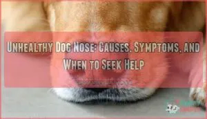 unhealthy dog nose