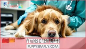 veterinary care