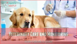 veterinary care and monitoring
