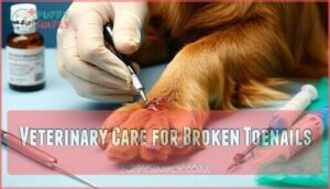 veterinary care for broken toenails