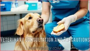 veterinary consultation and precautions