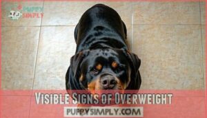 visible signs of overweight