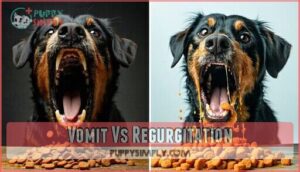 vomit vs regurgitation