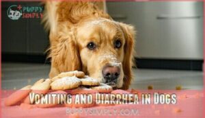 vomiting and diarrhea in dogs